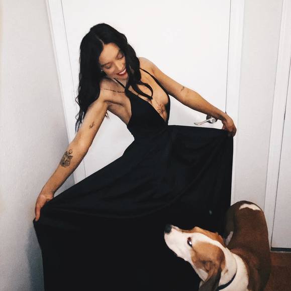 Meet your Posher, Quinn - Picture 1 of 1